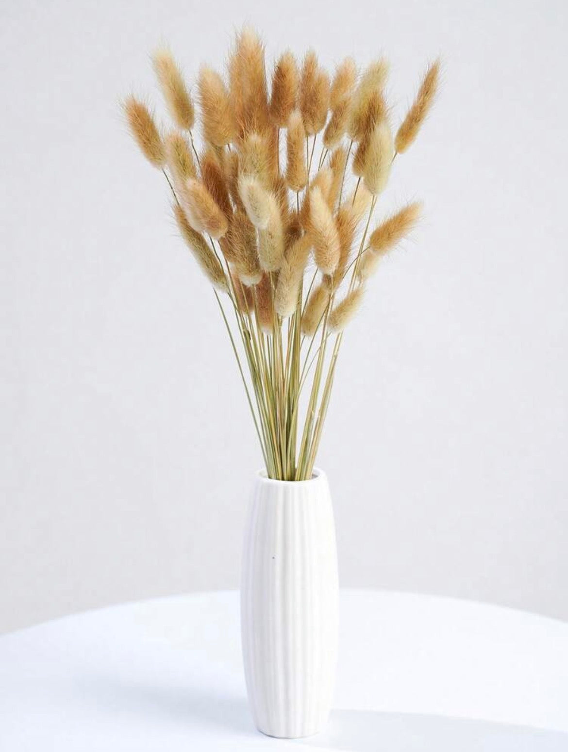 Bunny Tail Grass Dried Natural Pampas Grass Stems – Fluffy Dried Flowers for Home Decor, Wedding & Vase Arrangements