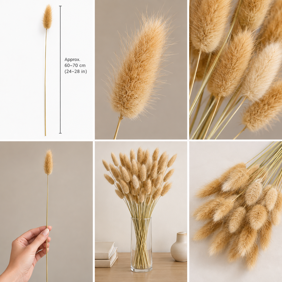 Bunny Tail Grass Dried Natural Pampas Grass Stems – Fluffy Dried Flowers for Home Decor, Wedding & Vase Arrangements