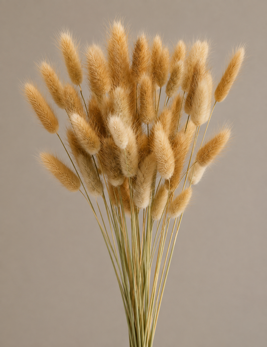 Bunny Tail Grass Dried Natural Pampas Grass Stems – Fluffy Dried Flowers for Home Decor, Wedding & Vase Arrangements